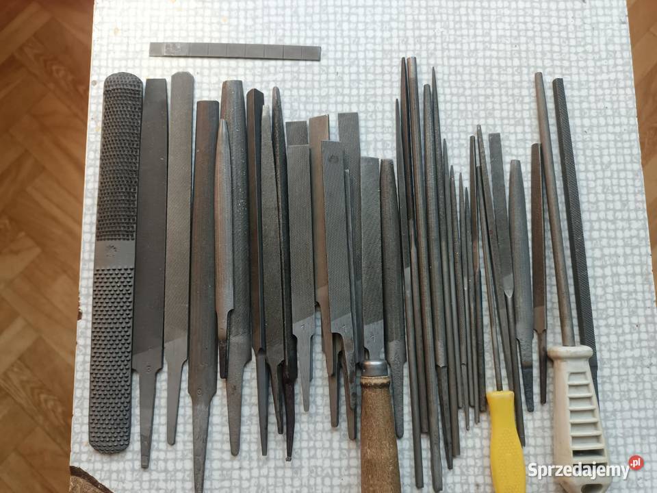 Pilniki iglaki Będzin