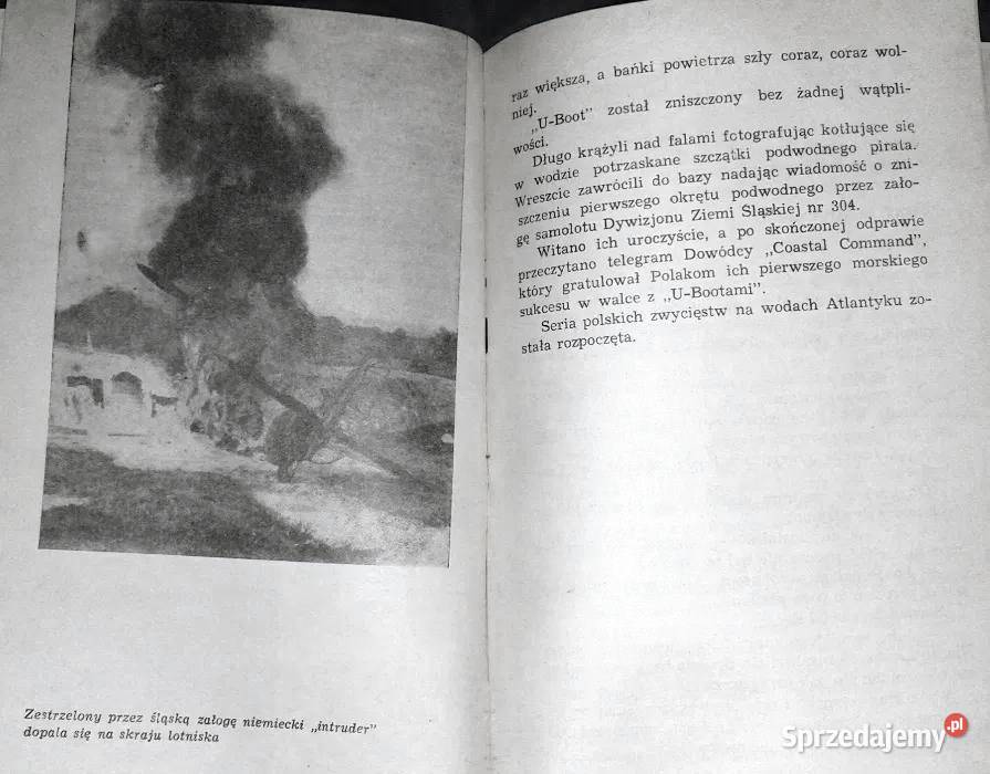 Dywizjon Ziemi Śląskiej 304 Władysław Chełm