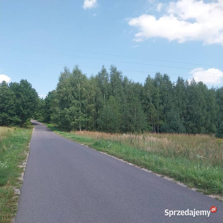Działka siedliskowa 2900m2