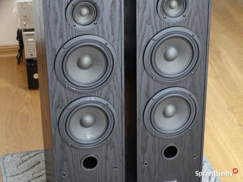 Mocne kolumny Magnat 2 x 300 wat śliczne WYSYŁKA Audio Jasło