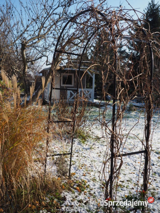 Sprzedam działkę ROD Ursynów Warszawa