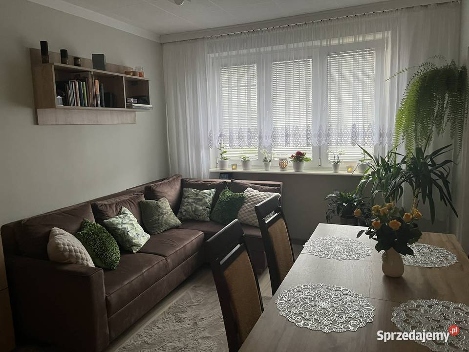 Przytulne mieszkanie 2624 singla pary pod papa Gdynia