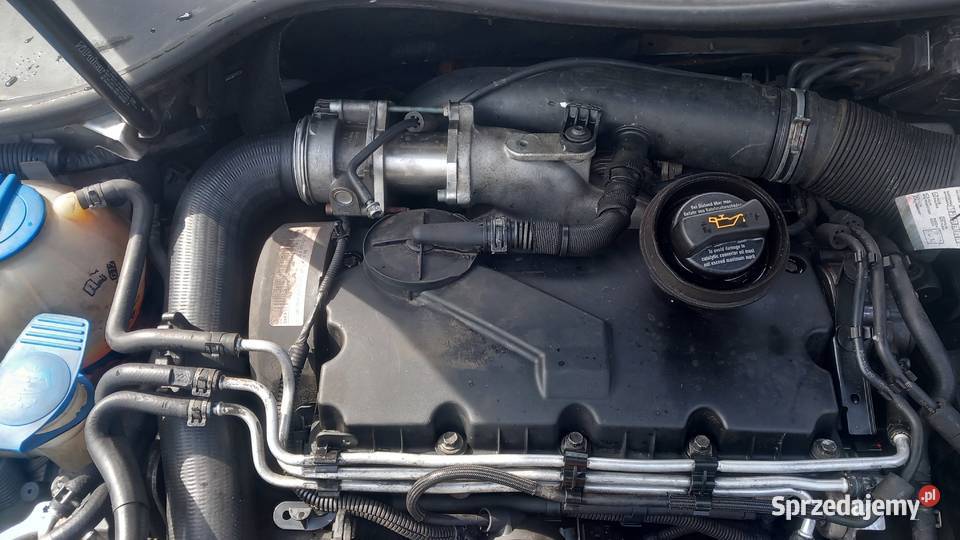 VW GOLF V 19 TDI BKC 105 Pińczów