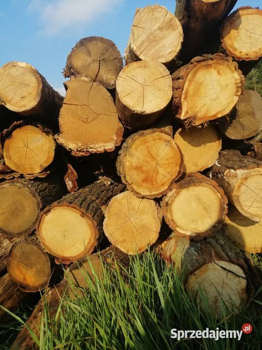 Suche drewno opałowe RÓŻNE Możliwy transport Sompolno