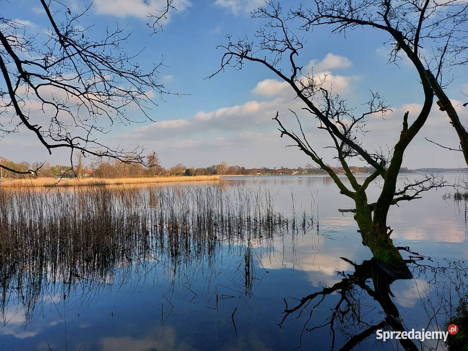 Piękna działka j Białe 300 m