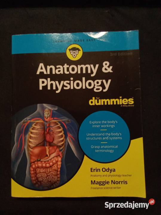 Anatomy Physiology angielsku