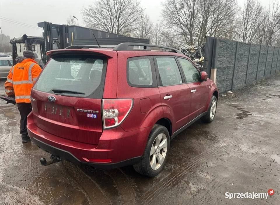 Subaru Forester cała na części silnik diesla Szprotawa