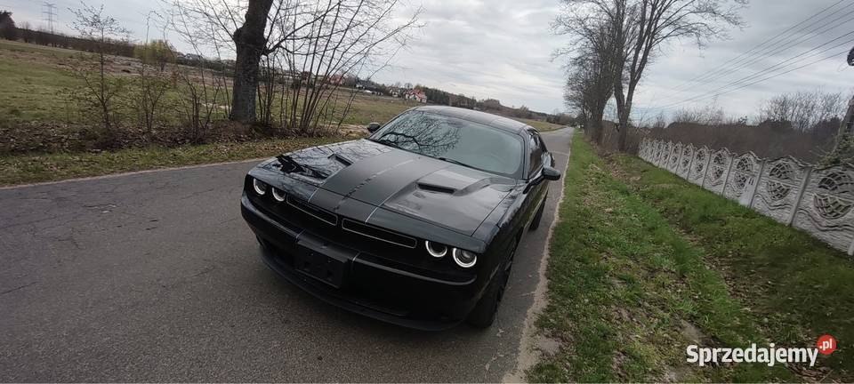 Dodge Challenger V6 2015 fv23 fv0 EU w Bełchatów sprzedam
