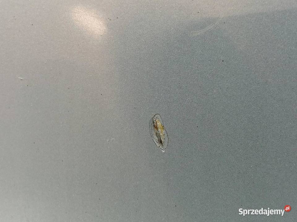 SPOILER LOTKA KLAPY TYŁ SEDAN SREBRNA Seat osobowe Spoilery
