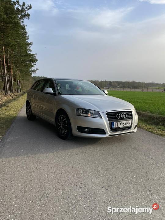 Audi A3 8p lift poduszka powietrzna Przedbórz
