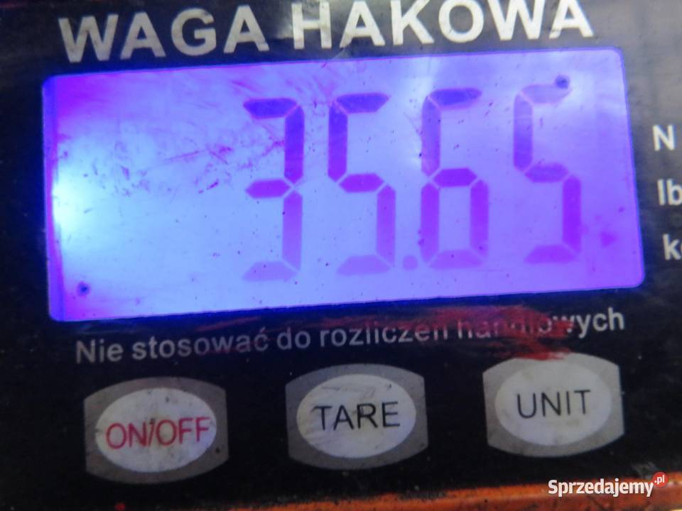 SKRZYNIA BIEGÓW RENAULT SCENIC I FL 19 dCi