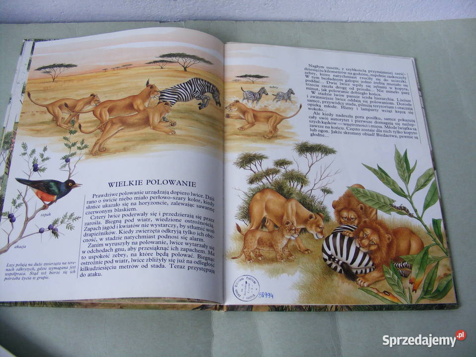 Atlas zwierząt z lwem Mój barwny atlas zwierząt