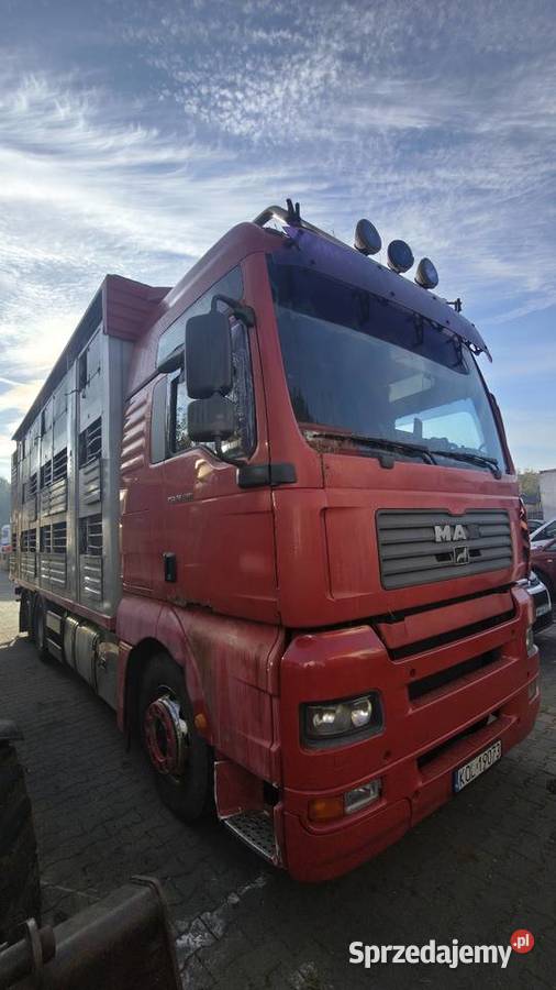 Man TGA 26480 zestaw do przewozu zwierząt IRMA Specjalne Motoryzacja Wolbrom