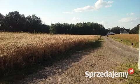 sprzedaży gruntu Motycz 2800m2