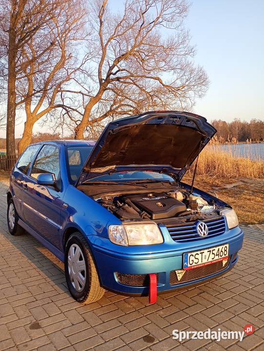 Volkswagen Polo 6n2 2001 Samochody osobowe Skórcz