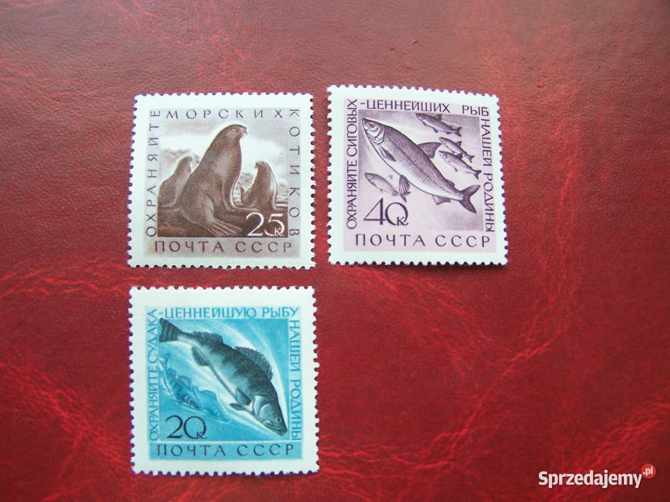 ZSRR 1960 MNH Mi 238587 Fauna Ryby Filatelistyka Tychy