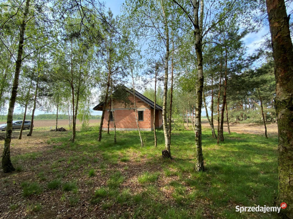 Dom wolnostojący 107m2 Chełmno 2005m2