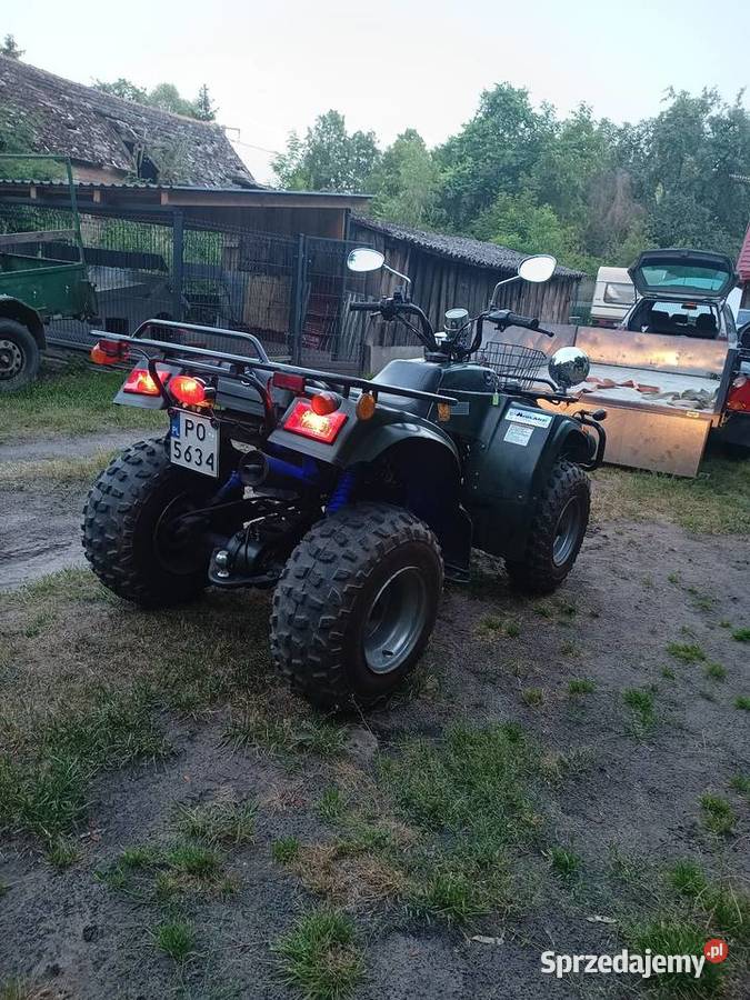 Quad Logan ST 250 Pyzdry