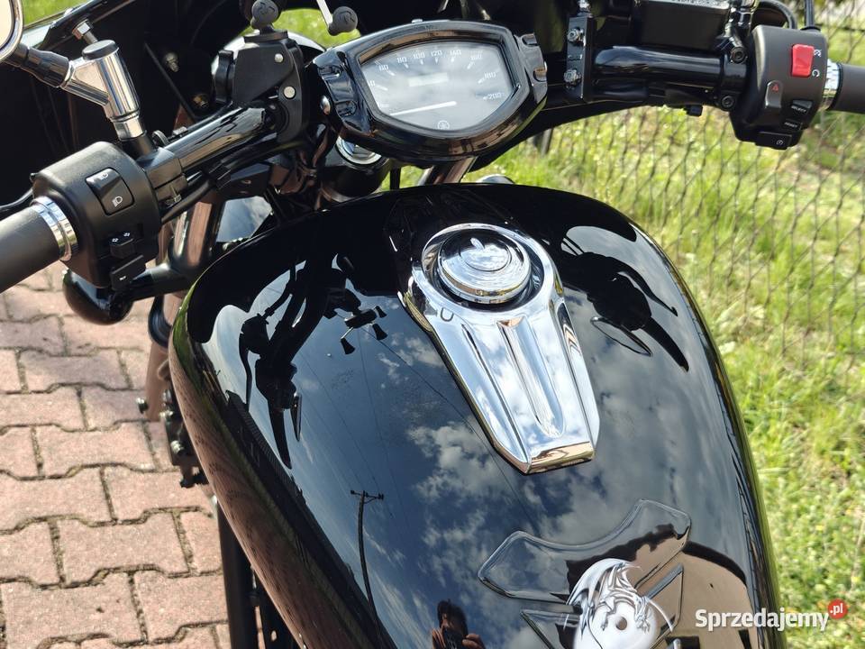 Yamaha XVS 1300 Custom Stryker nieuszkodzony Yamaha Libiąż