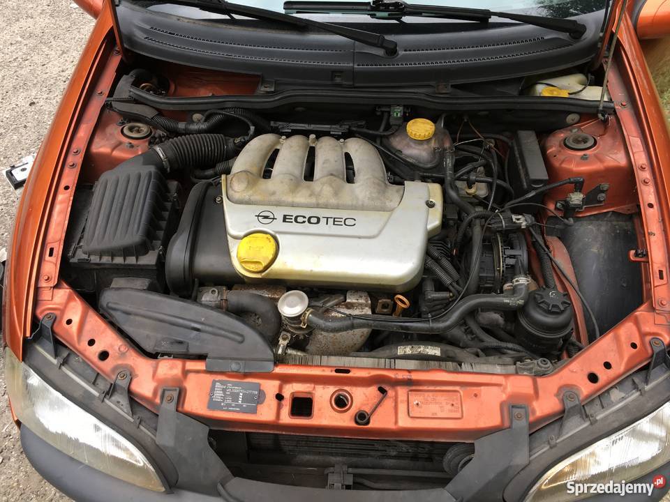 Opel Tigra 14 nowy przeglad ważne oc ładna Sosnowiec