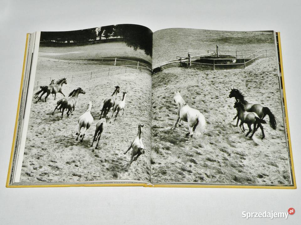 Konie Marian Gadzalski album WSiT 1978 Bydgoszcz