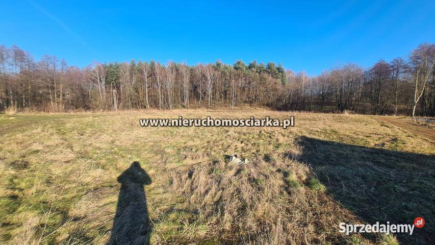 sprzedaży działki 6870m2 Wodzisław Śląski 6870m2