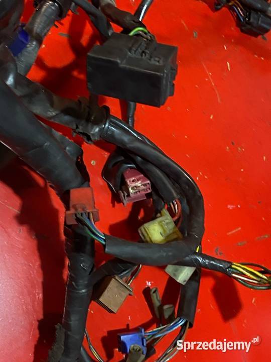 HONDA HORNET 600 PC25 03 instalacja elektryczna Wiązki elektryczne mazowieckie Warszawa