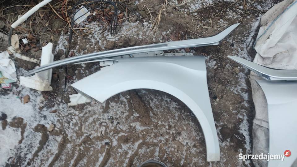 Błotnik lewy prawy przód przedni Citroen DS5 wielkopolskie Książ Wielkopolski