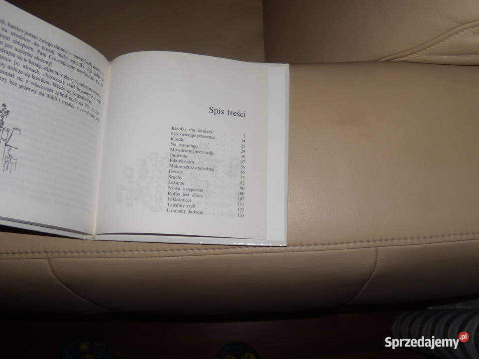 Mikołajek i inne chłopaki Sempe i Goscinny Warszawa sprzedam