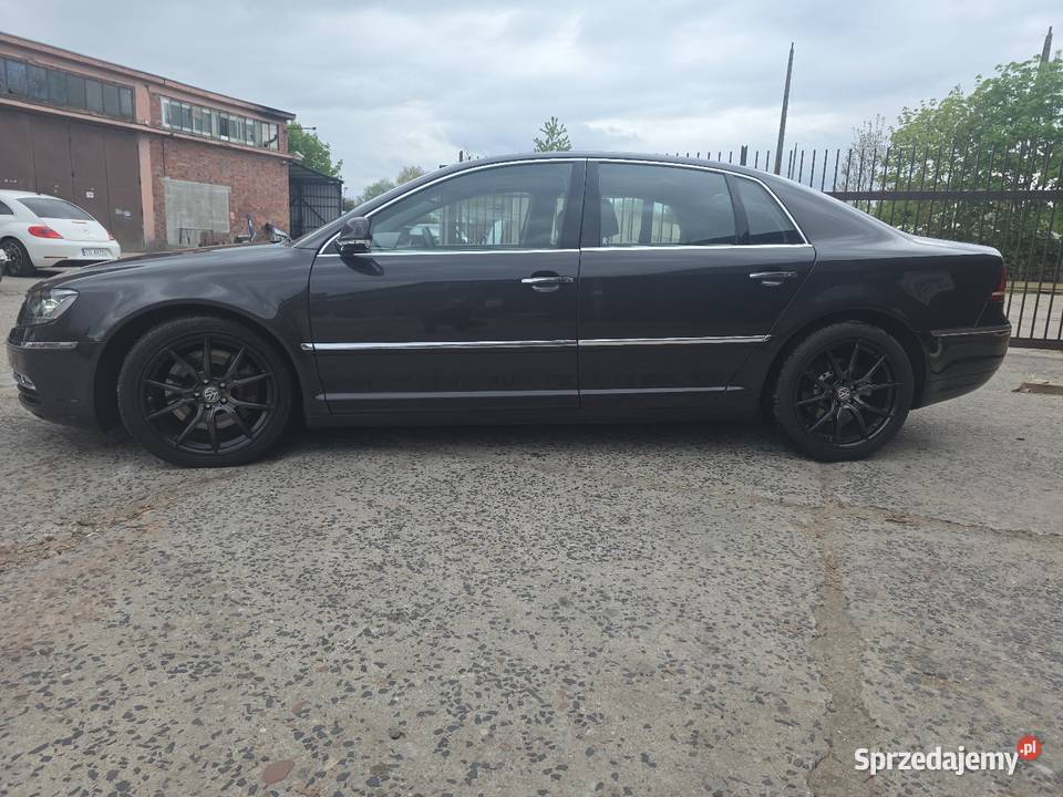 Phaeton prawie Full Gryfice
