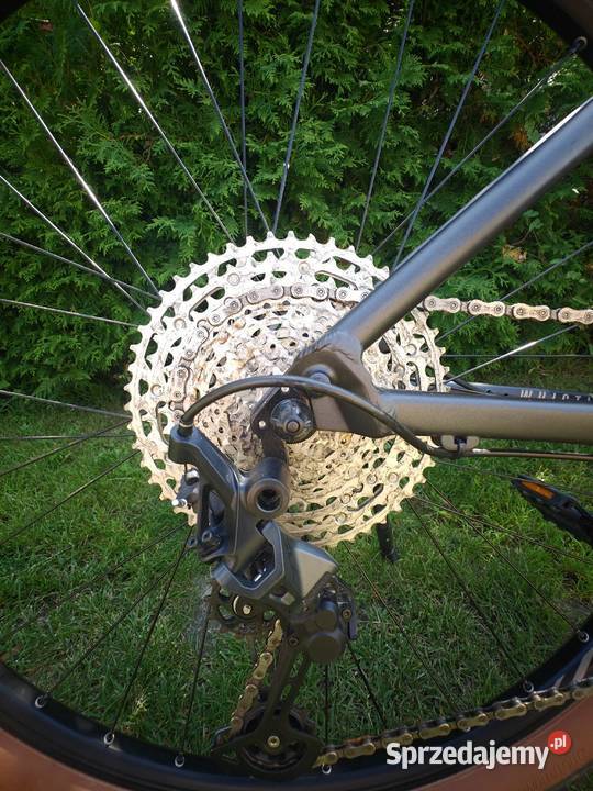 Rower MTB Focus Whistler 39 Górskie, MTB