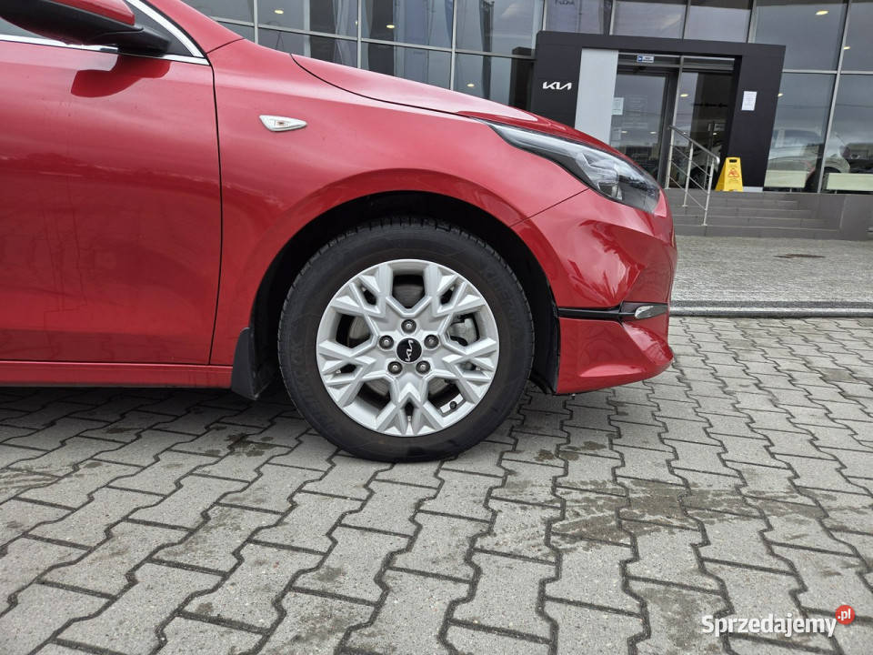 Kia Nowy Ceed 15 TGDI Wersja M Kamera Tempomat