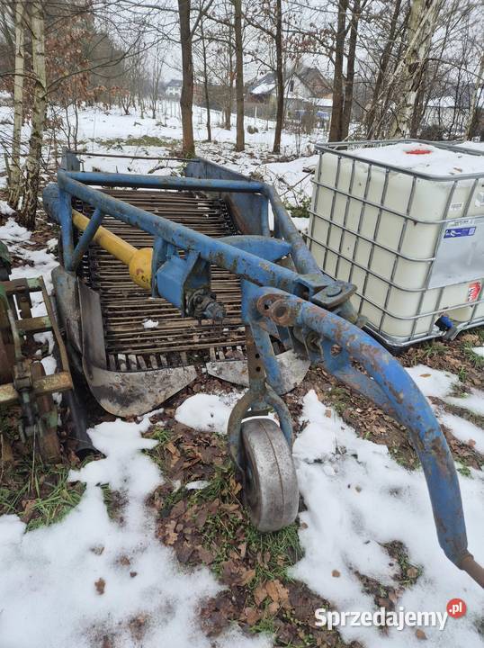 Kopaczka elewatorowa dwurzędowa do ziemniaków Bucze