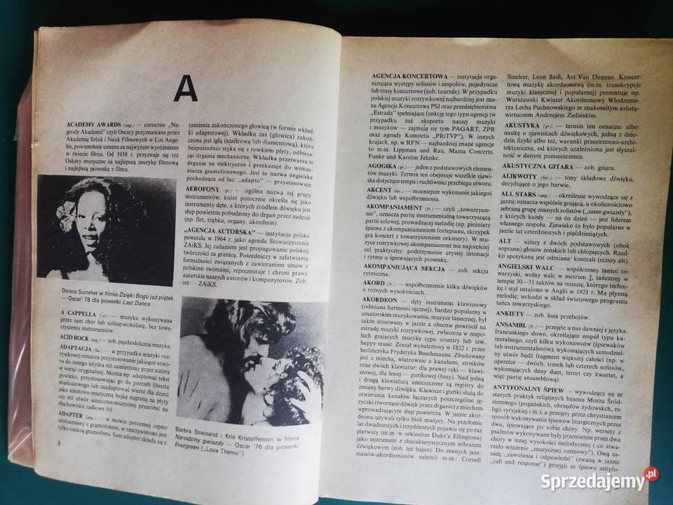 Mały słownik muzyki rozrywkowej Wacław Panek Kraków