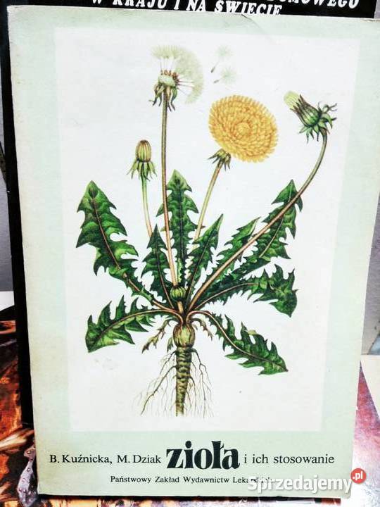 Zioła i ich zastosowanie medycyna naturalna mazowieckie sprzedam