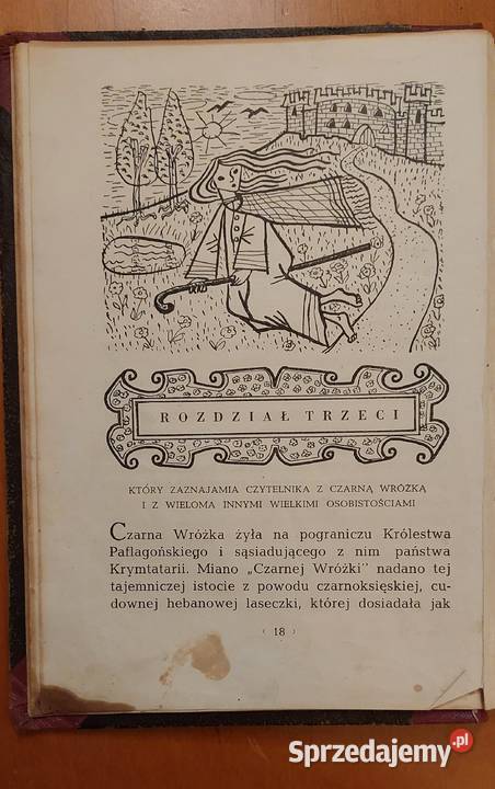 Pierścień i róża William Makepeace Thackeray Pozostałe Wrocław