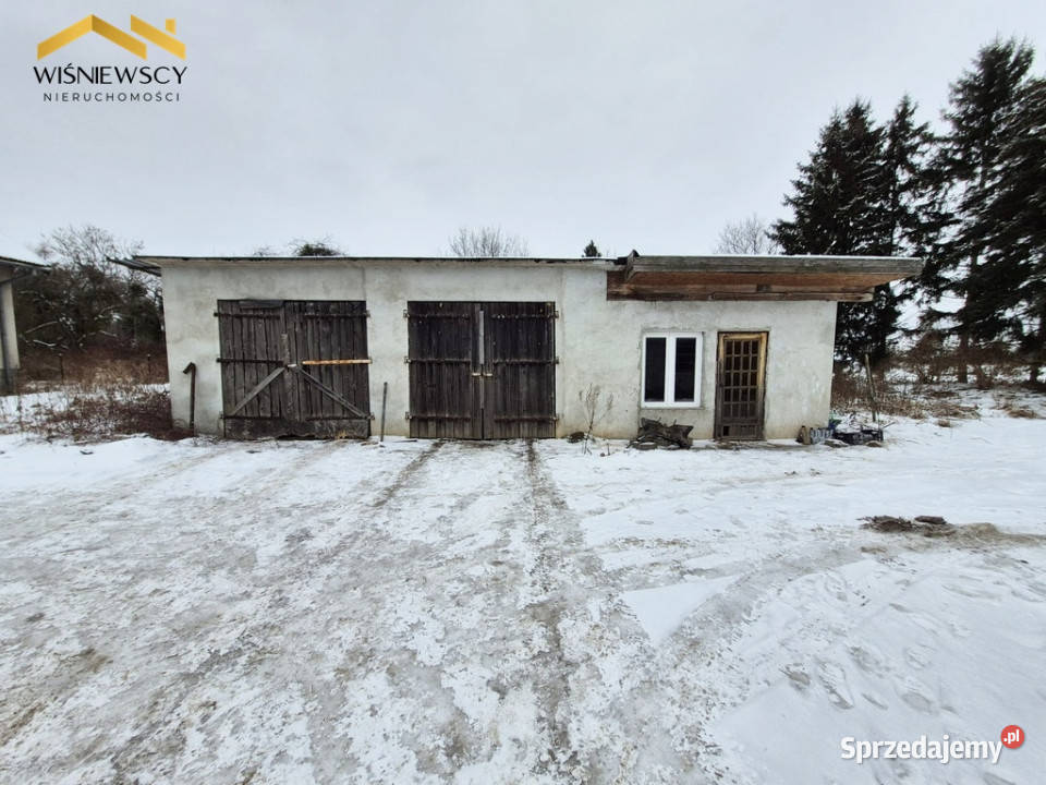 Rogity dom do remontu z zabudowaniami