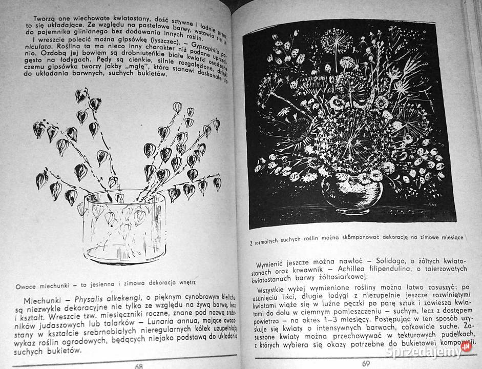 Mieszkanie w zieleni i kwiatach K Muszyński Kultura i Rozrywka lubelskie Chełm