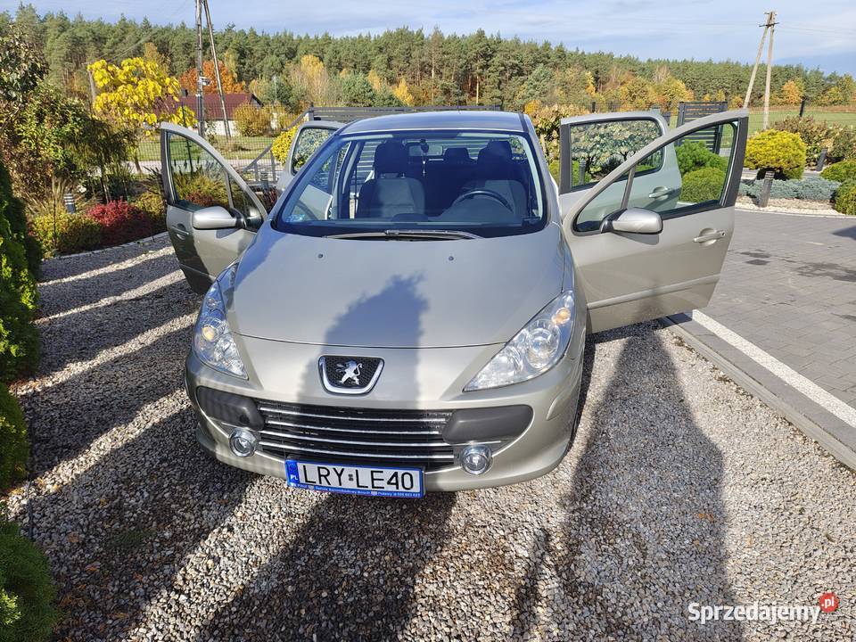 Peugeot 307