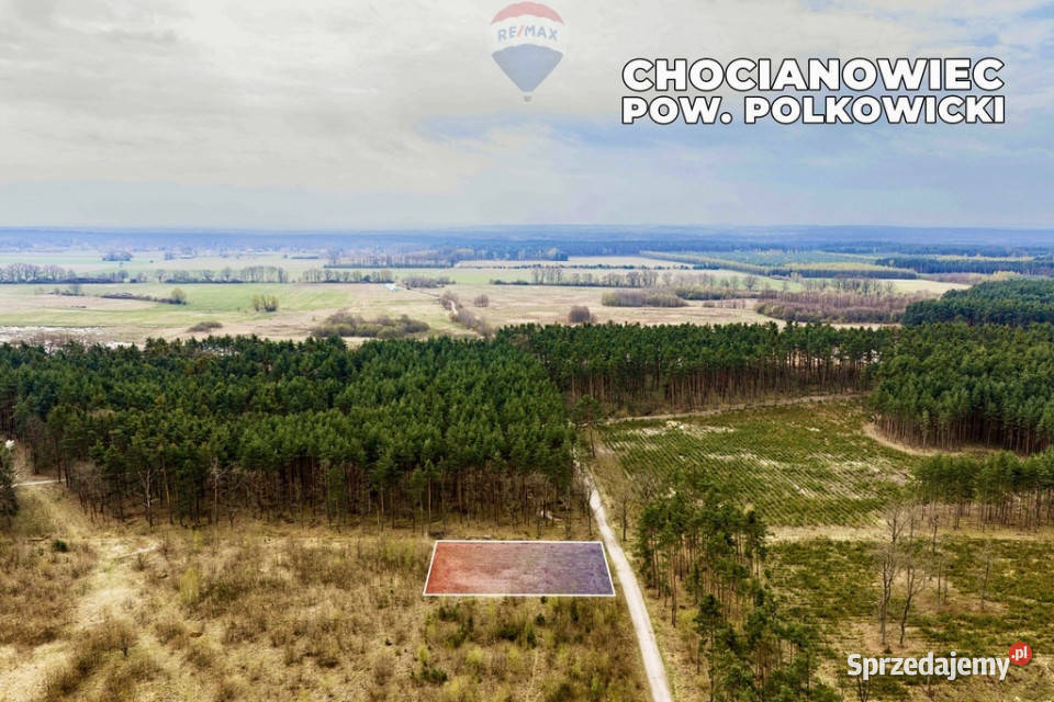 Działka budowlana w bezpośrednim sąsiedztwie Chocianowiec