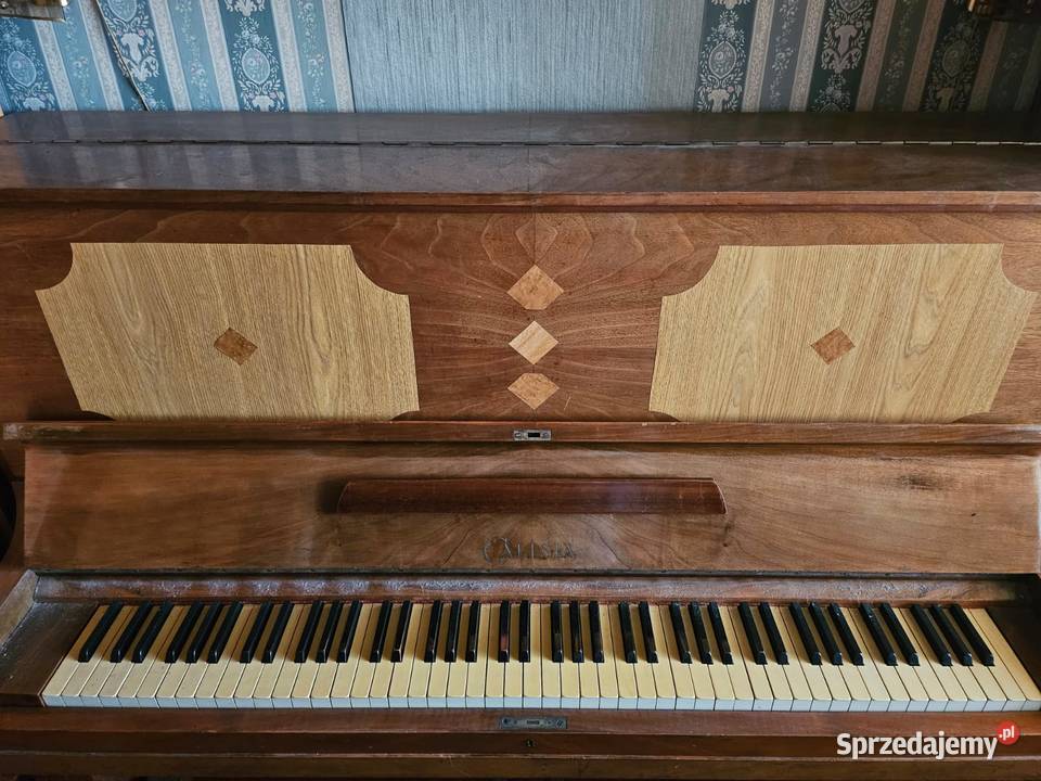 Pianino Calisia Warszawa