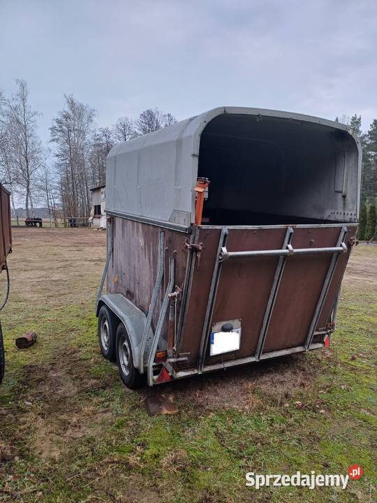 przyczepa do przewozu koni koniowóz Boeckmann