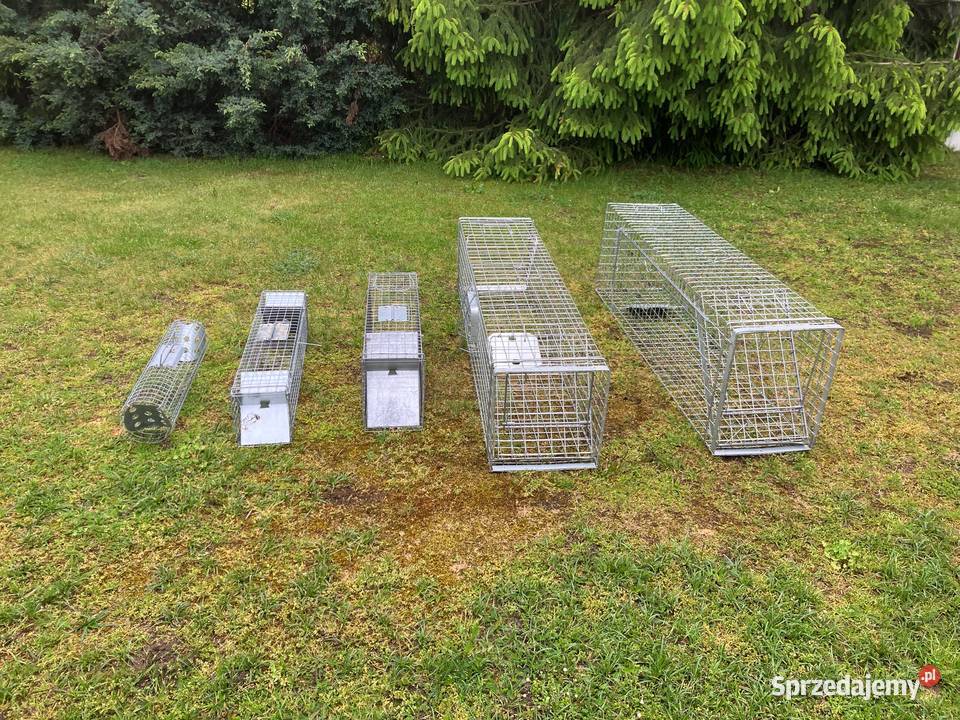 Żywołapki na szkodniki Drużbice