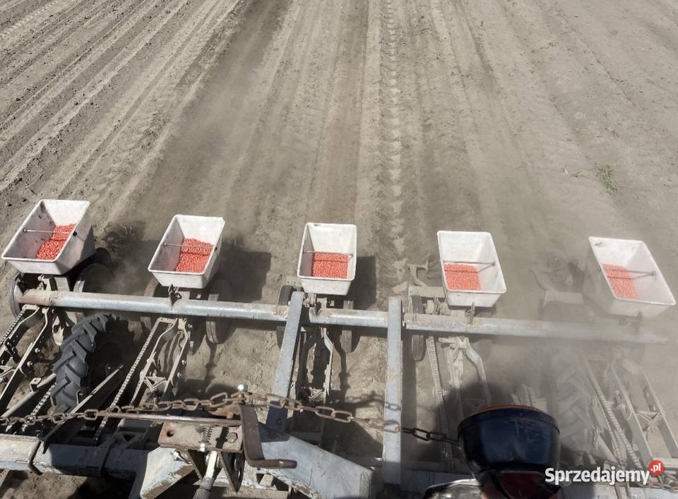 Siewnik do kukurydzy gamma Radom sprzedam