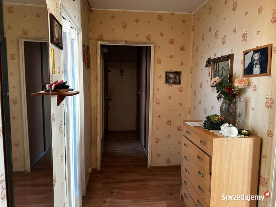 Na sprzedaż mieszkanie o pow 6046 m2 do remontu Piotrków Trybunalski sprzedam