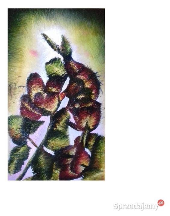 Uwodzicielkie Róże sprzedam