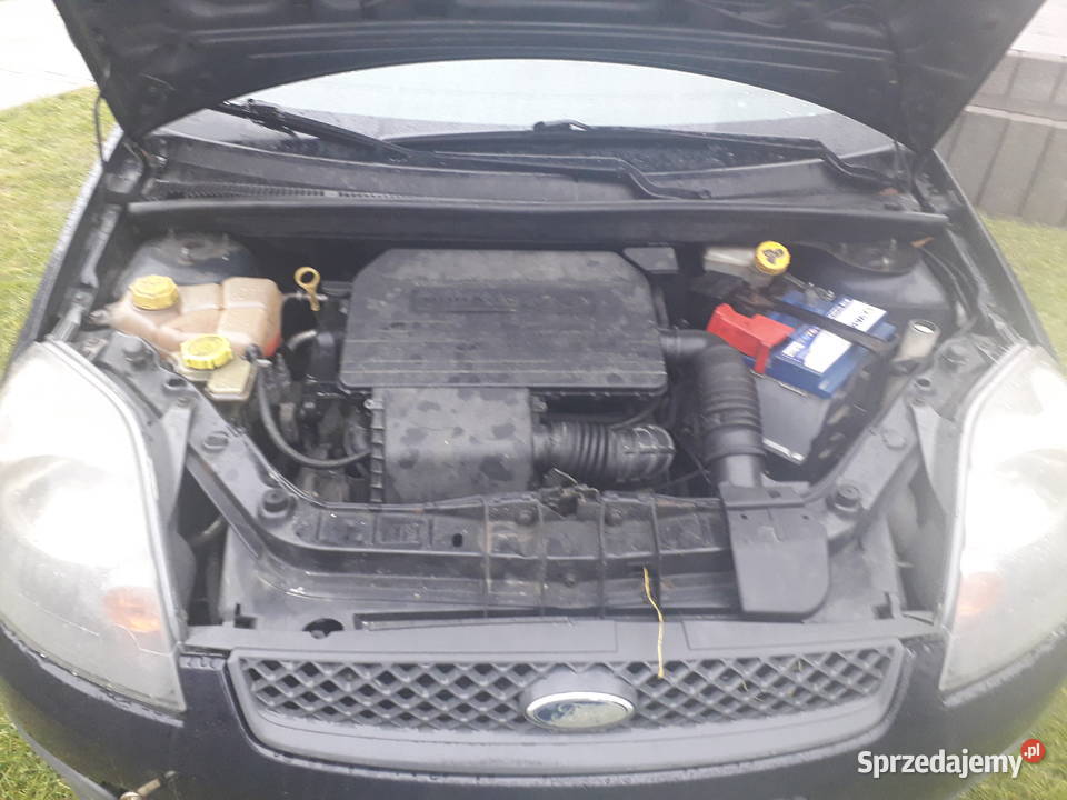 ford fiesta mk6 14tdci dawca czesci Komarówka Podlaska