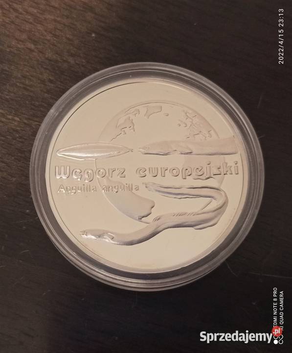 20 2003 Węgorz Europejski Wrocław