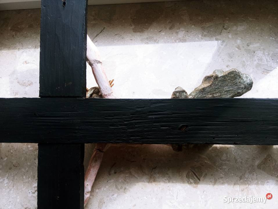 Krucyfiks Jezus na Krzyżu Drewno 18 w Antyki Nowa Sól