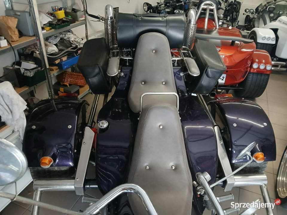 Boom Low Rider 16 boxer garbus oryginalna trajka zachodniopomorskie Gryfino